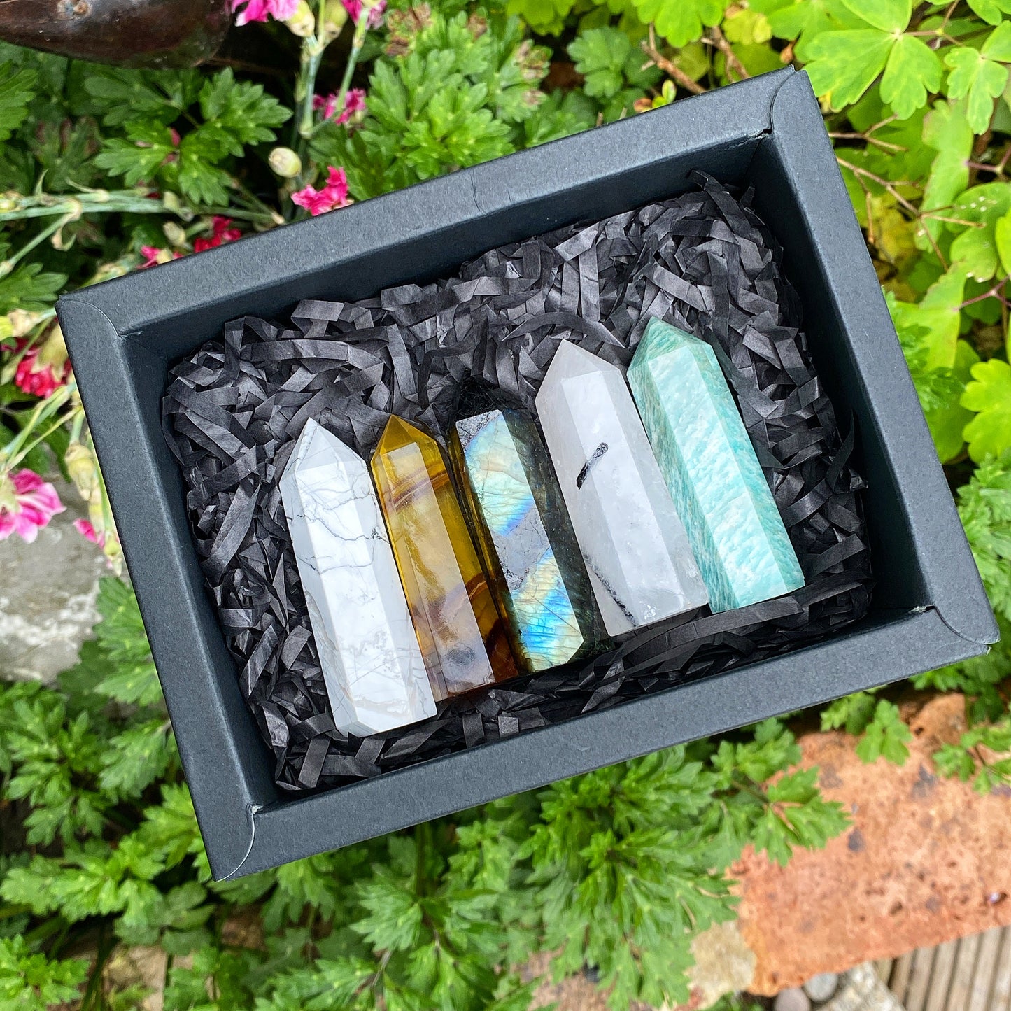 Crystal Point Box Set
