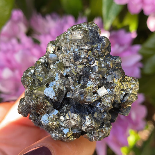 Pyrite Cluster