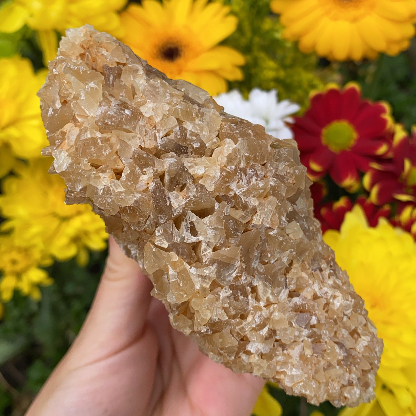 Portuguese Raw Honey Calcite #1