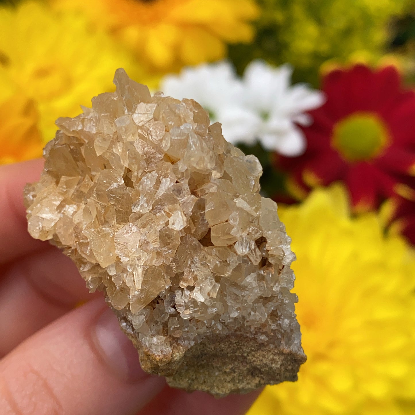Portuguese Raw Honey Calcite #3