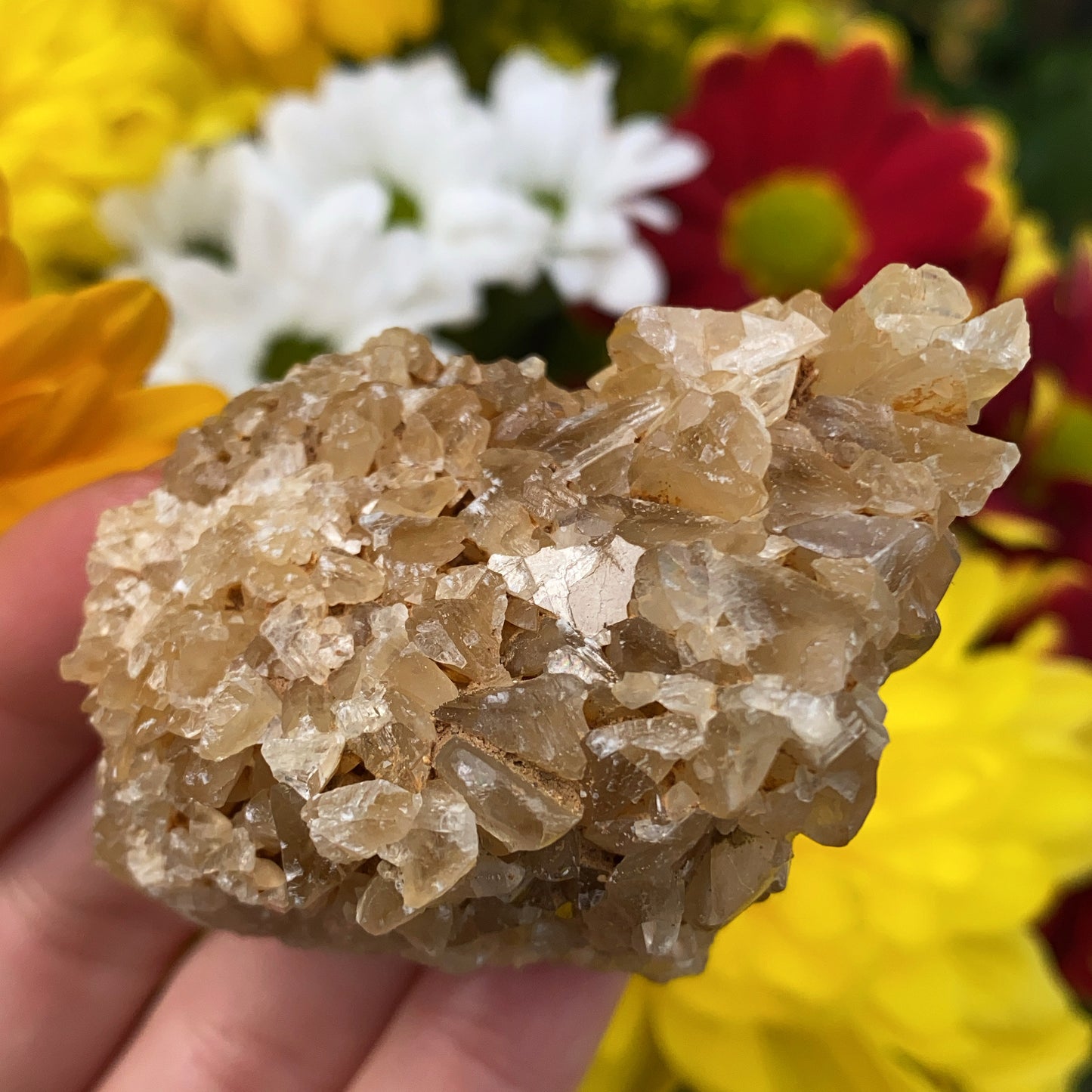 Portuguese Raw Honey Calcite #4