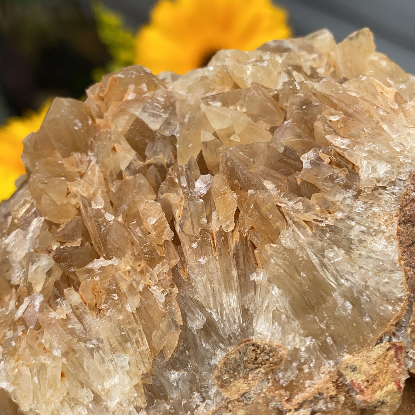 Portuguese Raw Honey Calcite #1