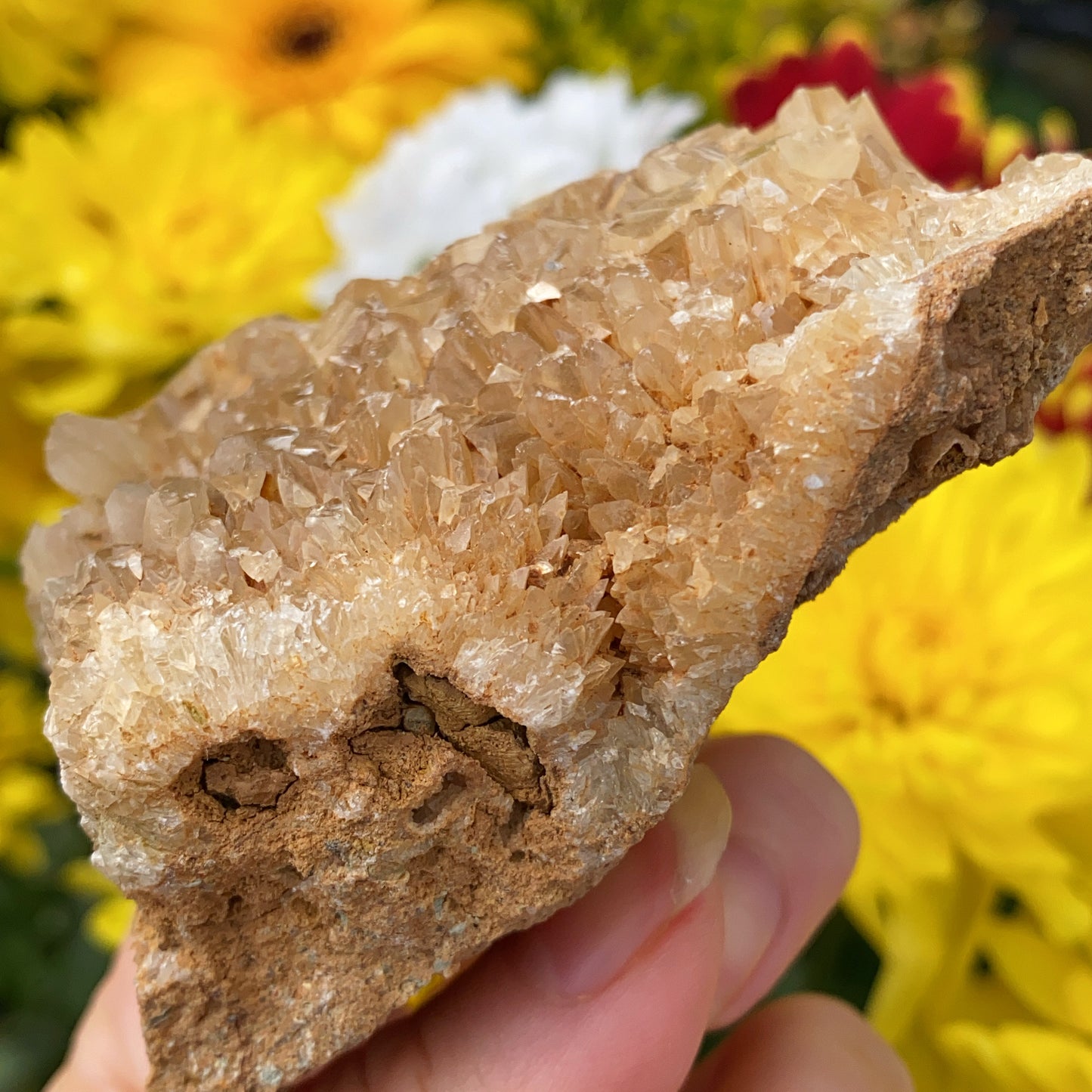 Portuguese Raw Honey Calcite #5