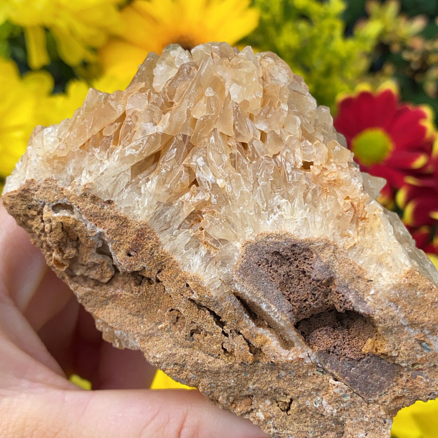 Portuguese Raw Honey Calcite #5