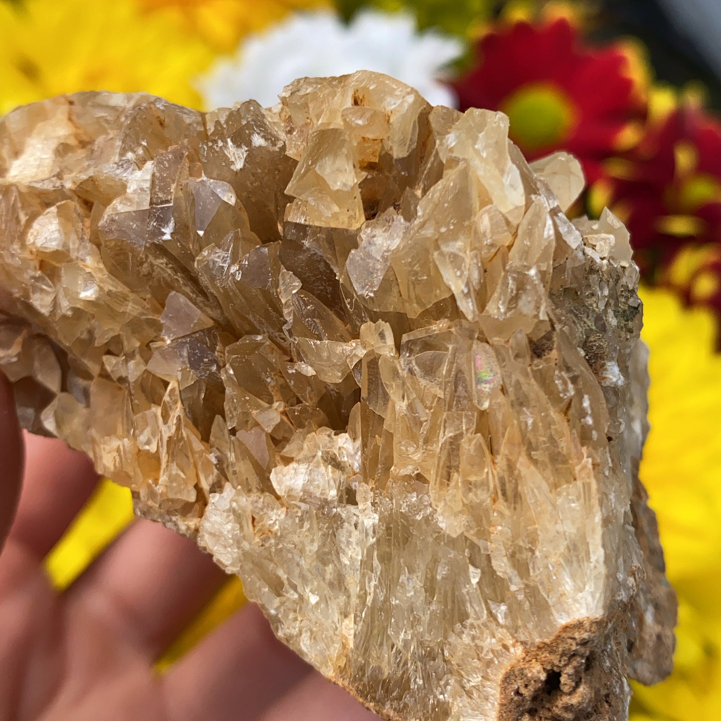 Portuguese Raw Honey Calcite #5