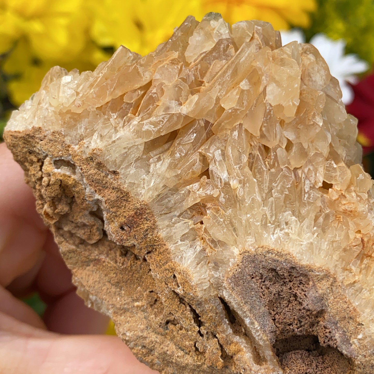 Portuguese Raw Honey Calcite #5