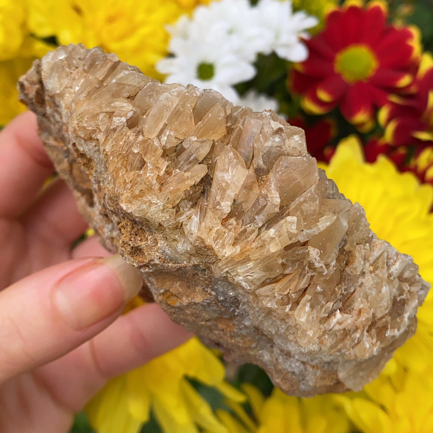 Portuguese Raw Honey Calcite #6
