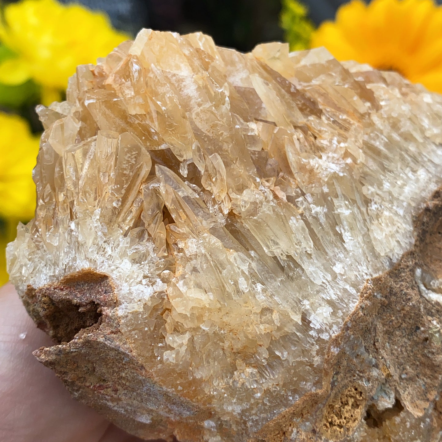 Portuguese Raw Honey Calcite #1