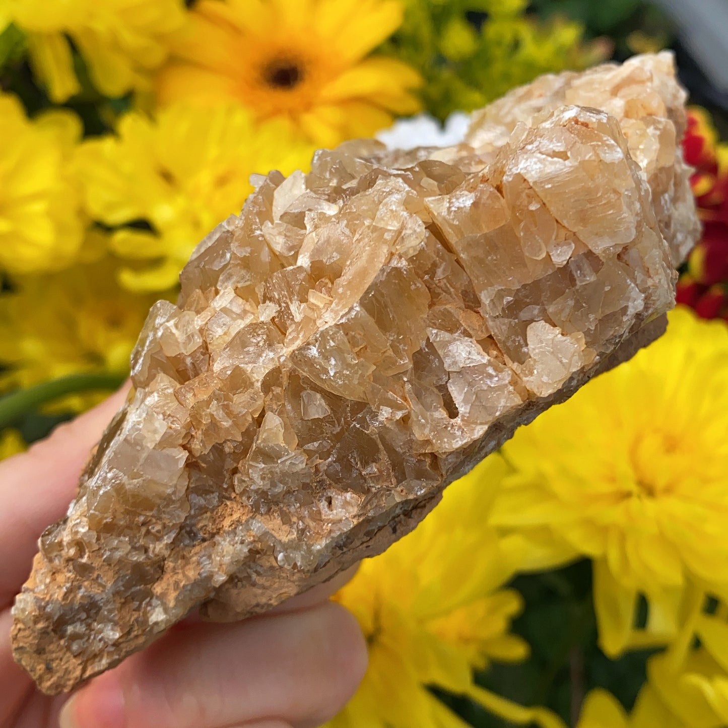Portuguese Raw Honey Calcite #7