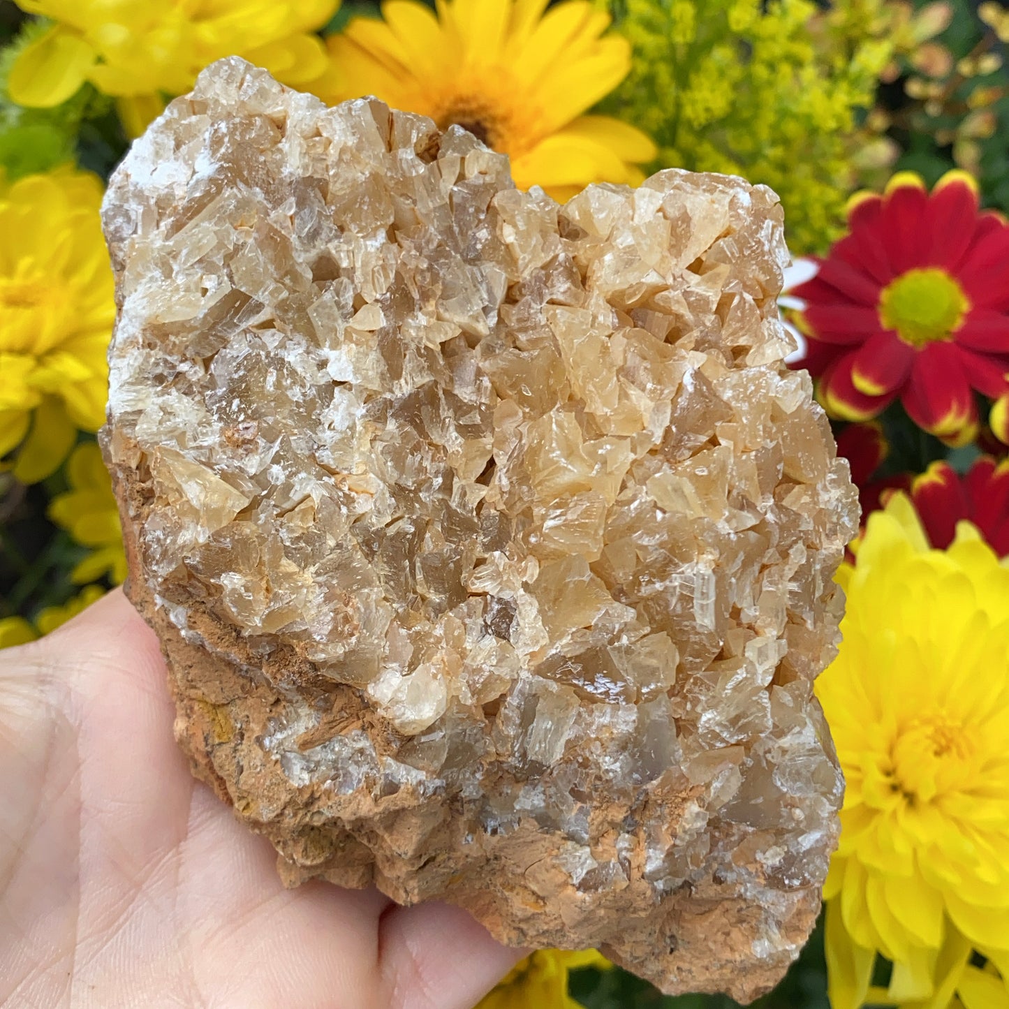 Portuguese Raw Honey Calcite #7
