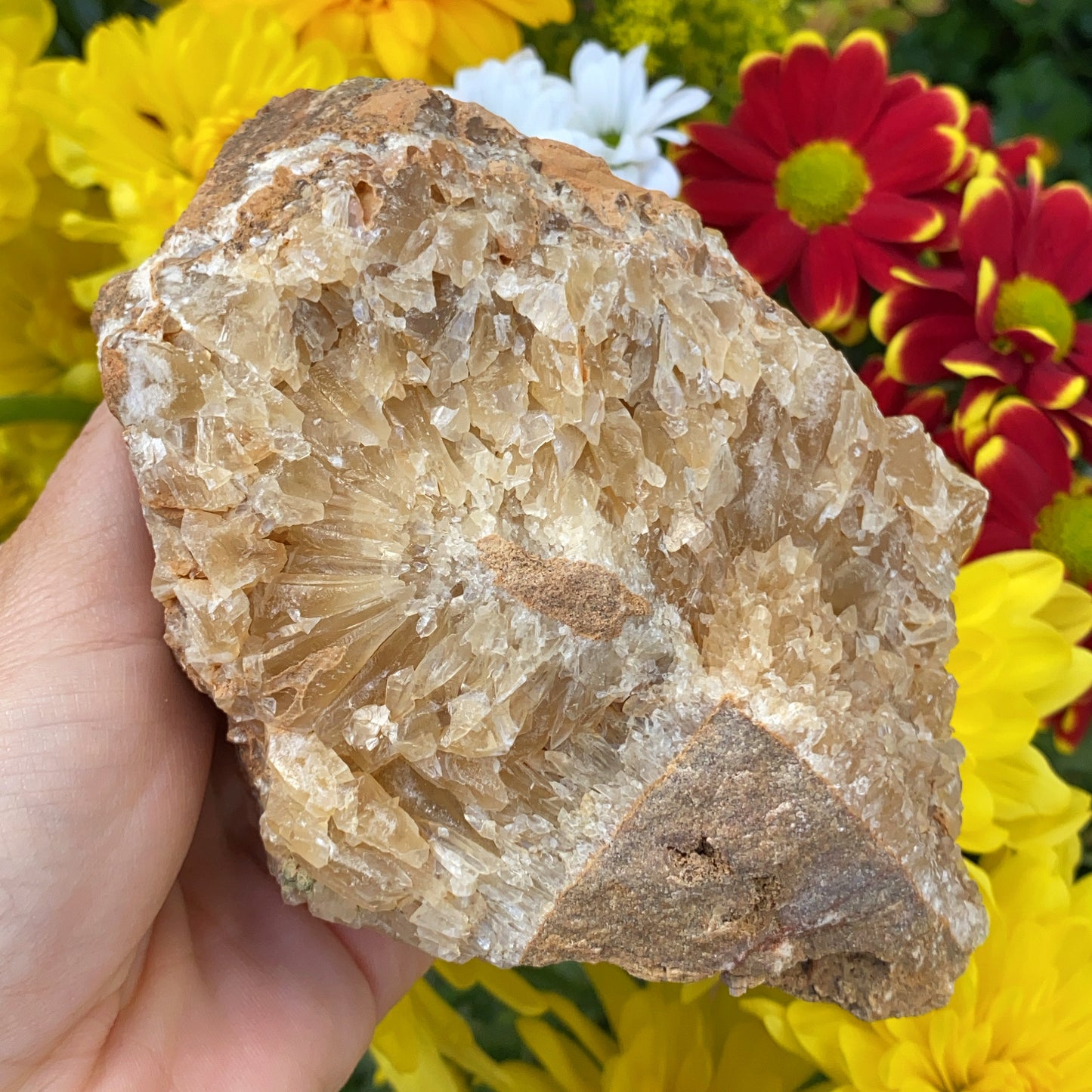 Portuguese Raw Honey Calcite #8