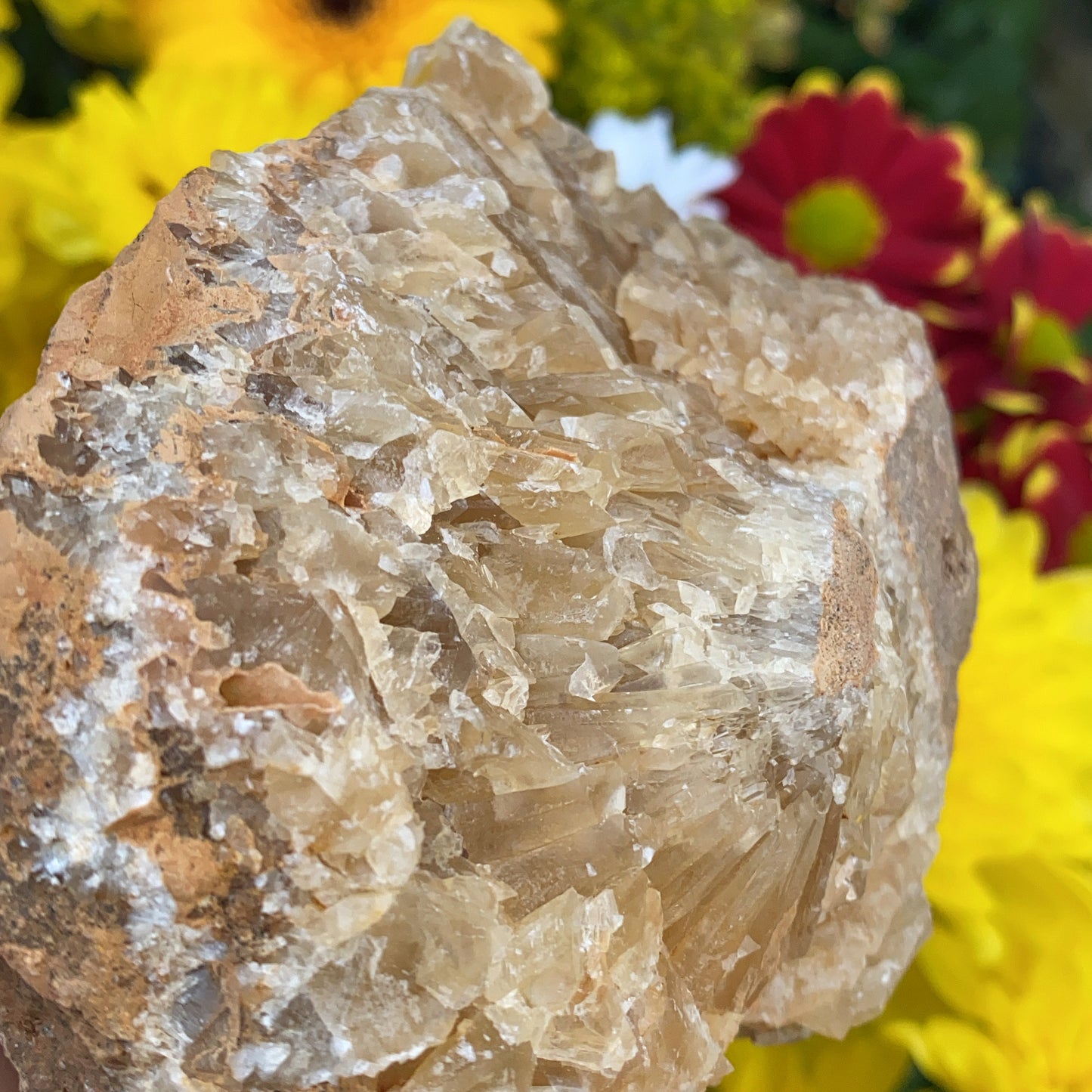 Portuguese Raw Honey Calcite #8