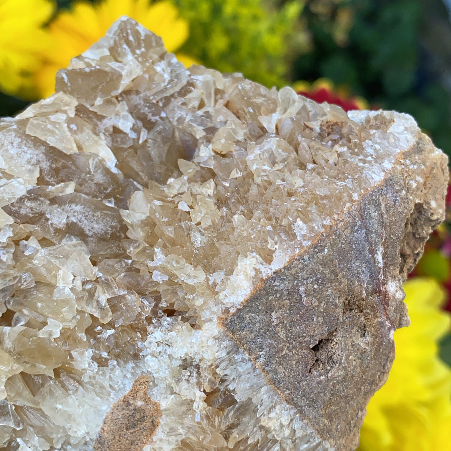 Portuguese Raw Honey Calcite #8