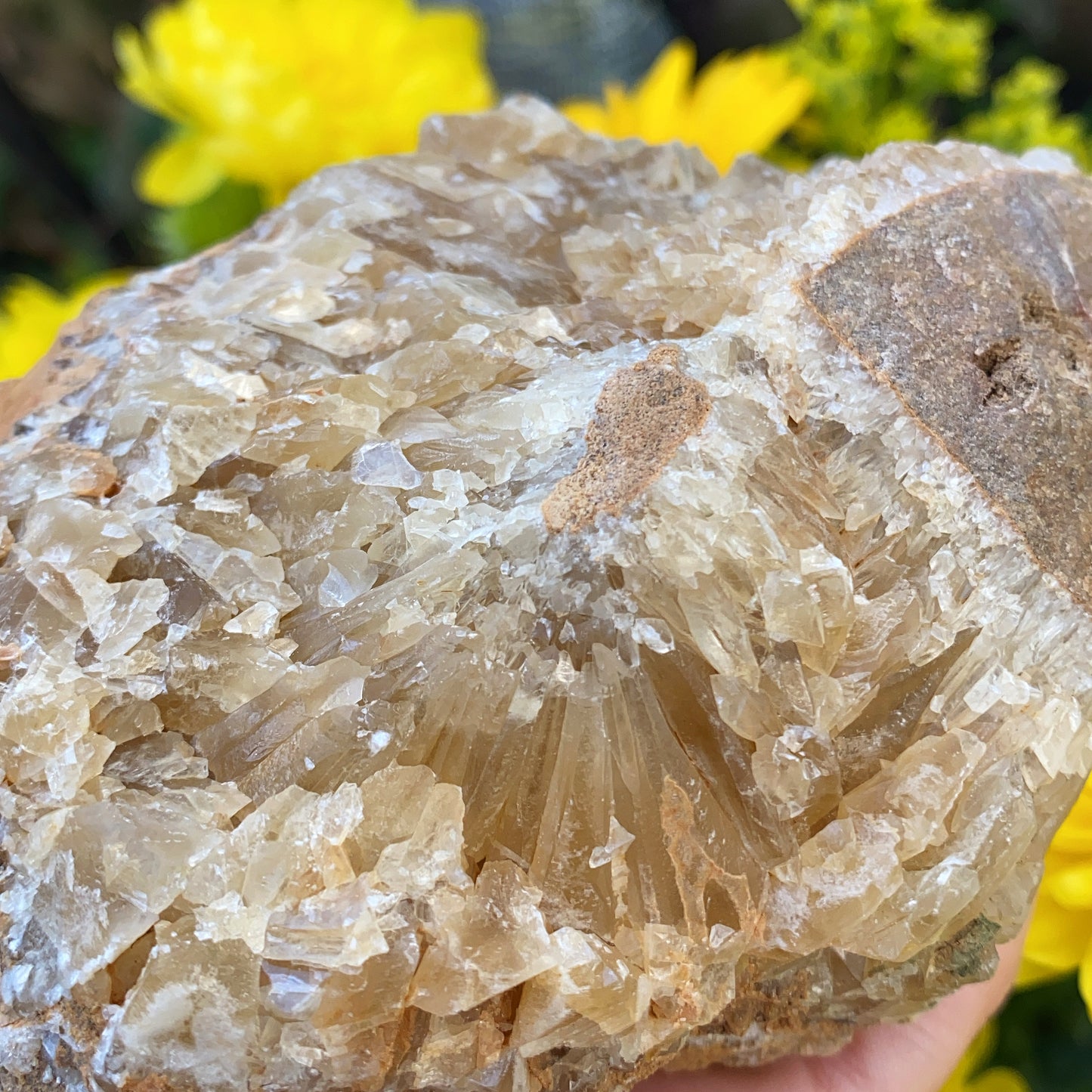 Portuguese Raw Honey Calcite #8