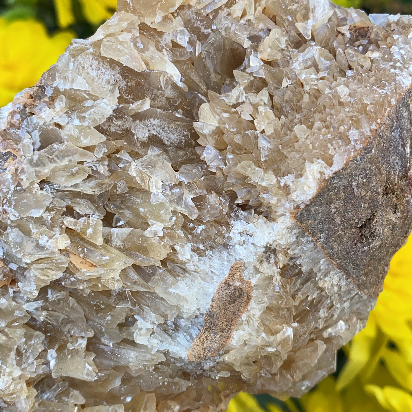Portuguese Raw Honey Calcite #8