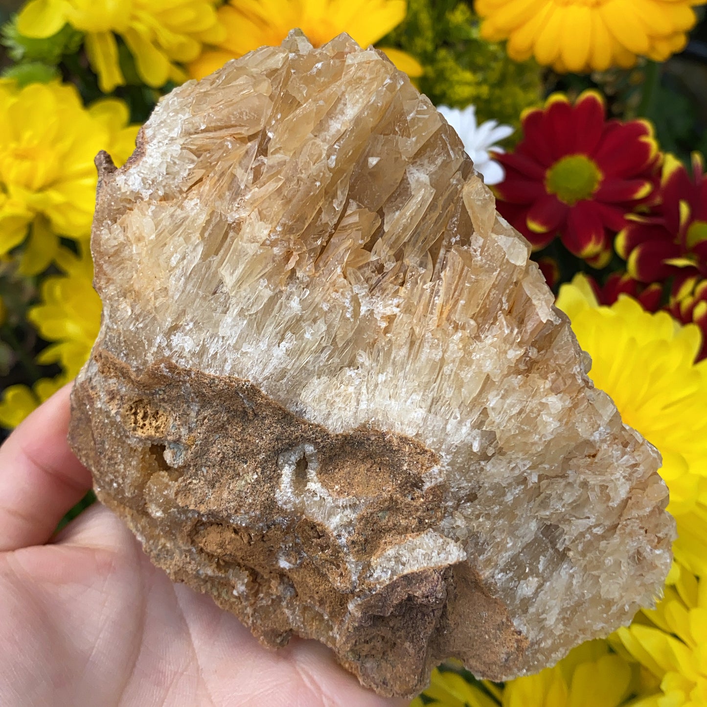 Portuguese Raw Honey Calcite #1