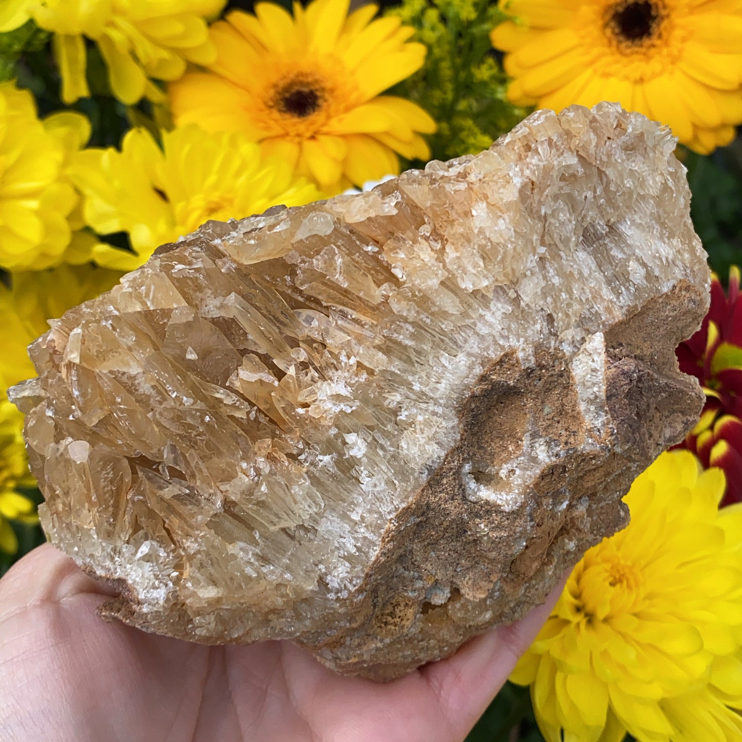 Portuguese Raw Honey Calcite #1