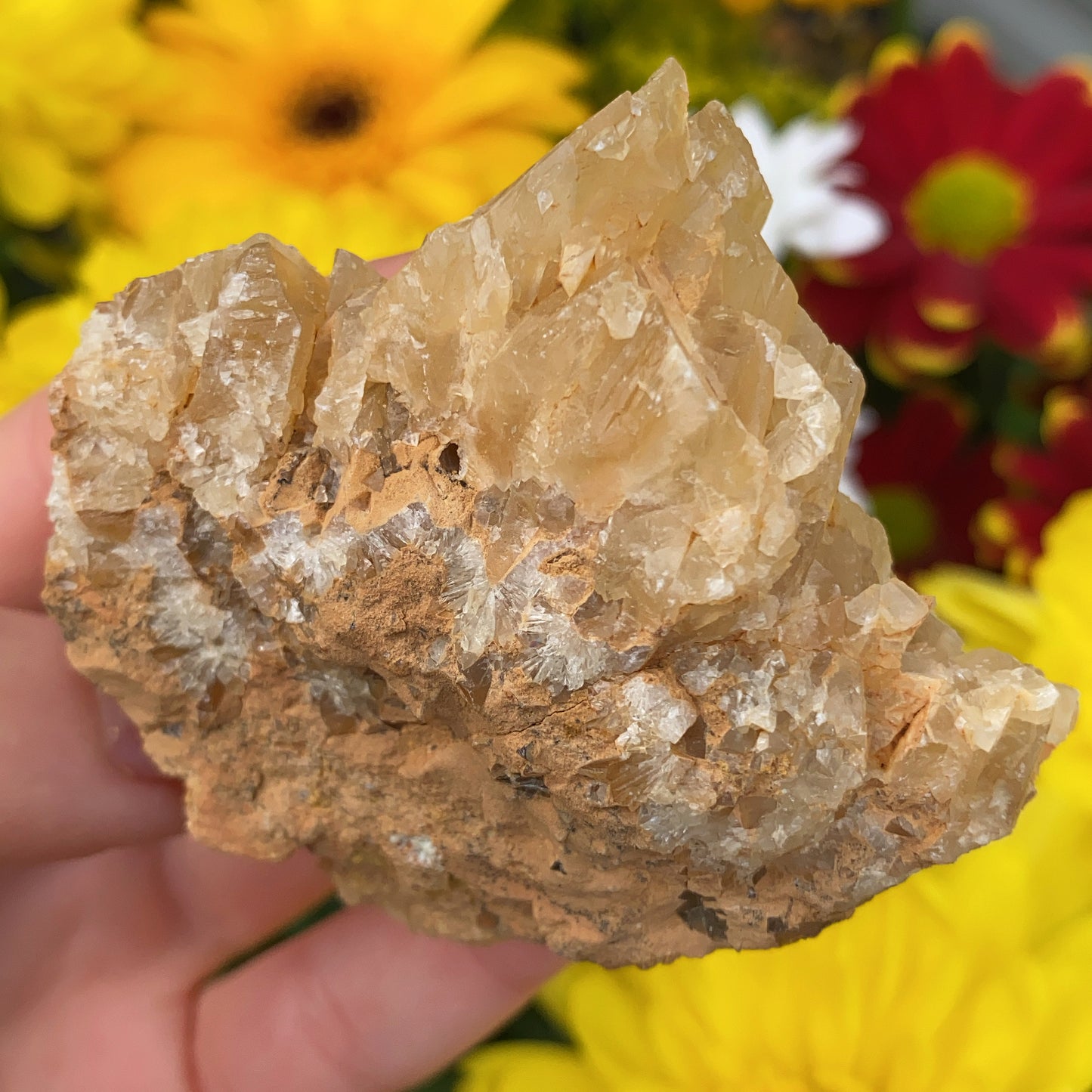 Portuguese Raw Honey Calcite #2