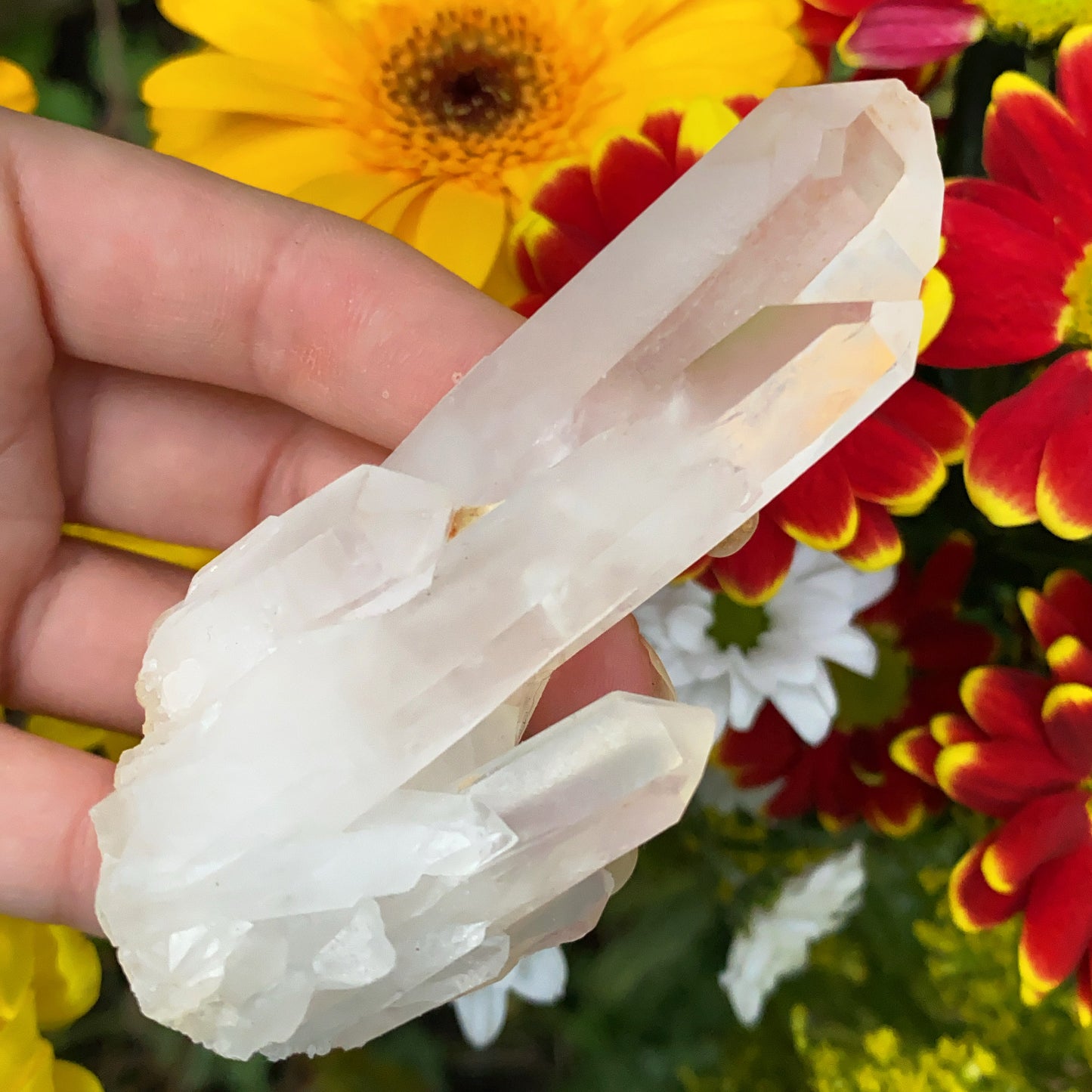 Enchanted Clear Quartz Point Cluster