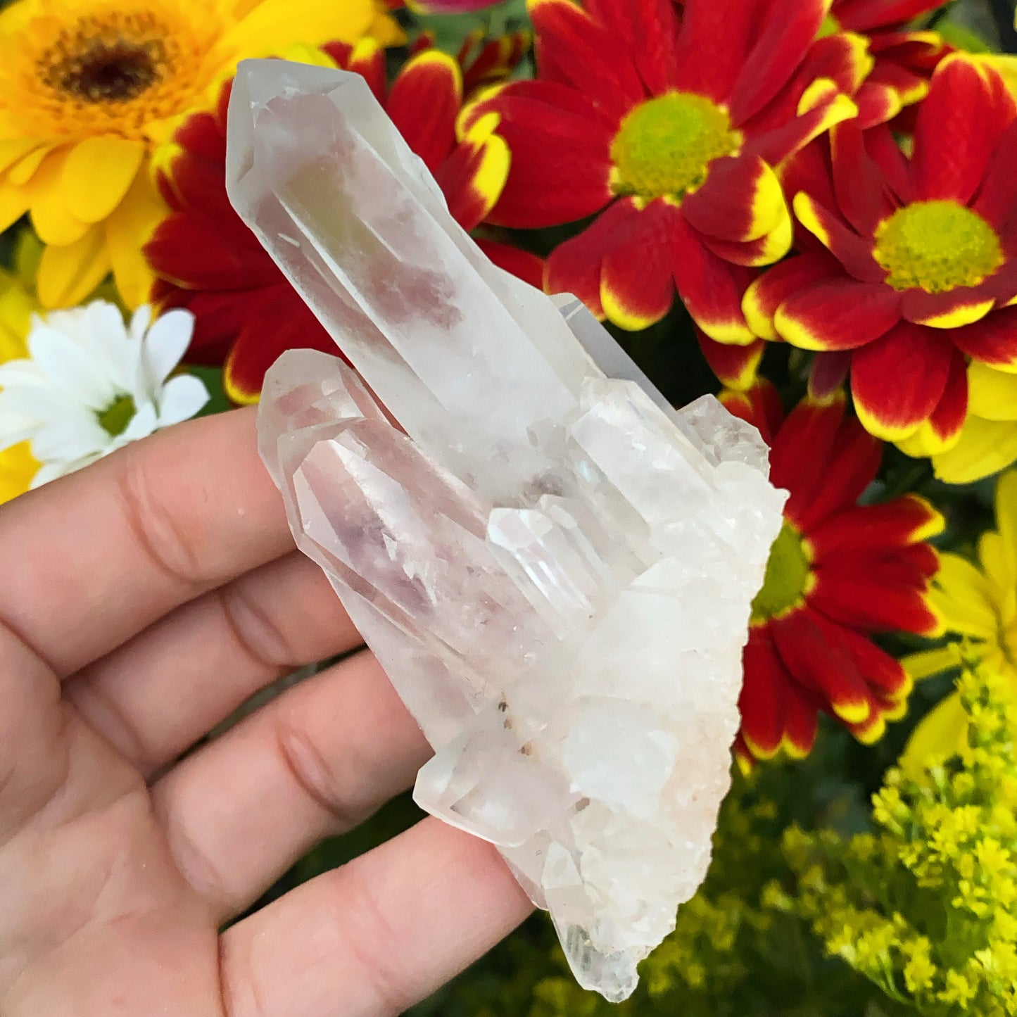 Enchanted Clear Quartz Point Cluster