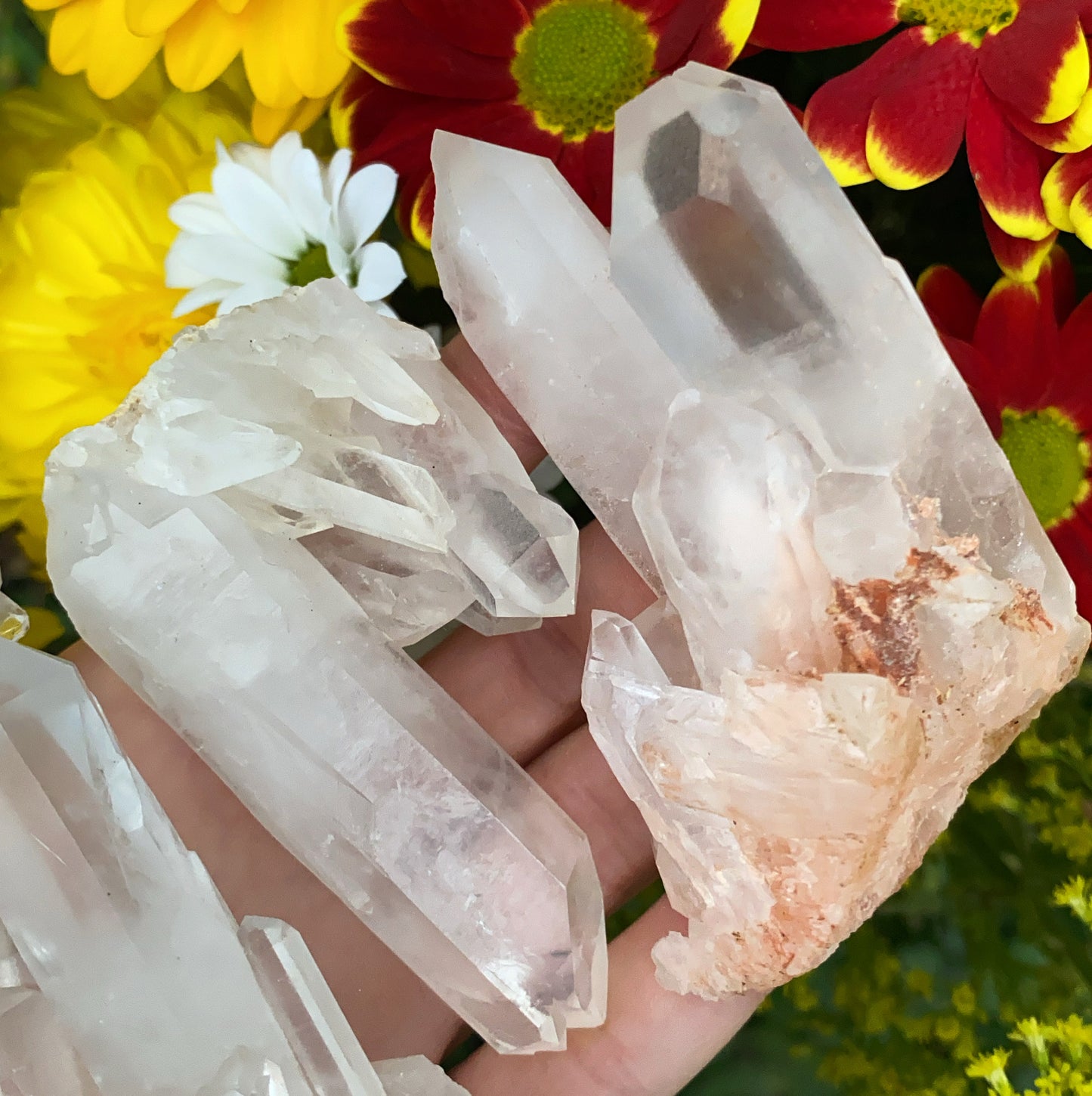 Enchanted Clear Quartz Point Cluster