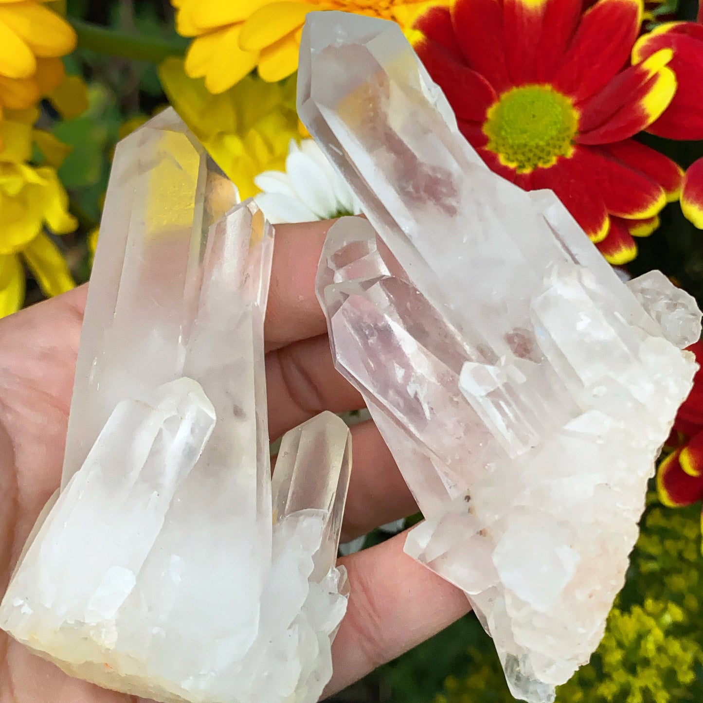 Enchanted Clear Quartz Point Cluster