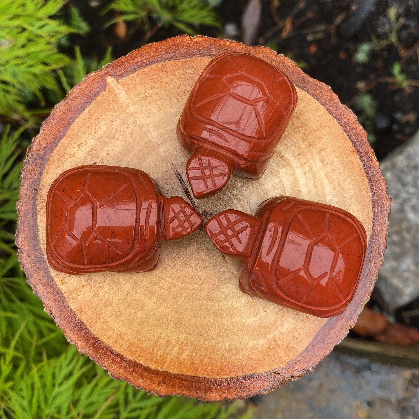 Red Jasper Tortoise