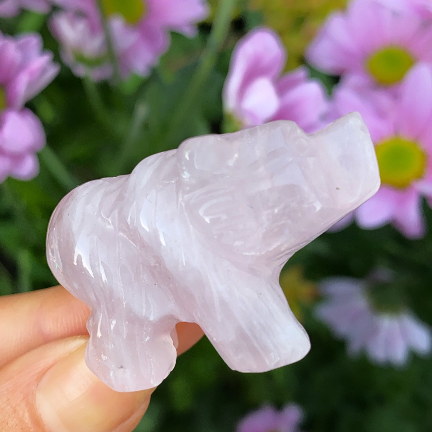 Baby Bear Crystal Carving