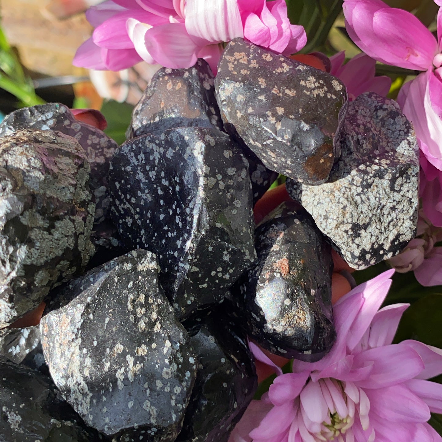 Snowflake Obsidian Rough Crystal