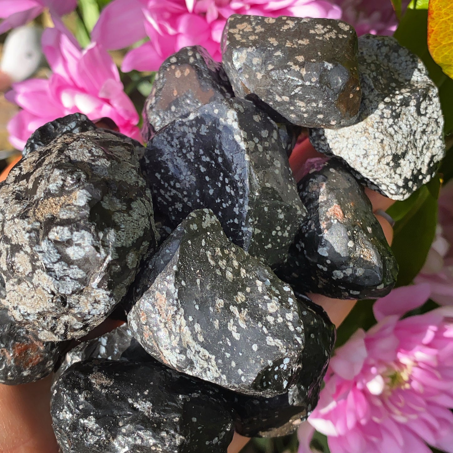 Snowflake Obsidian Rough Crystal