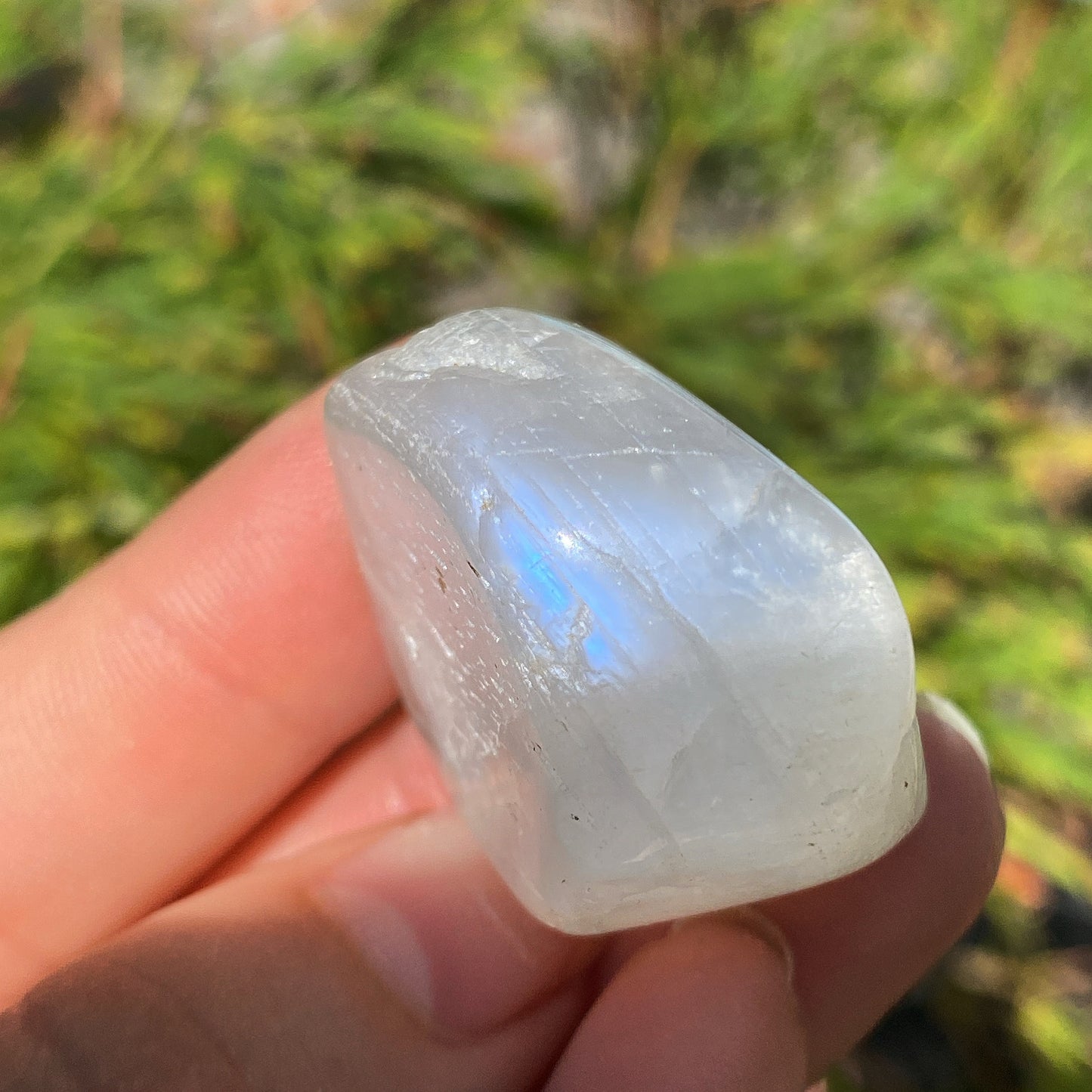 White Moonstone Tumblestones