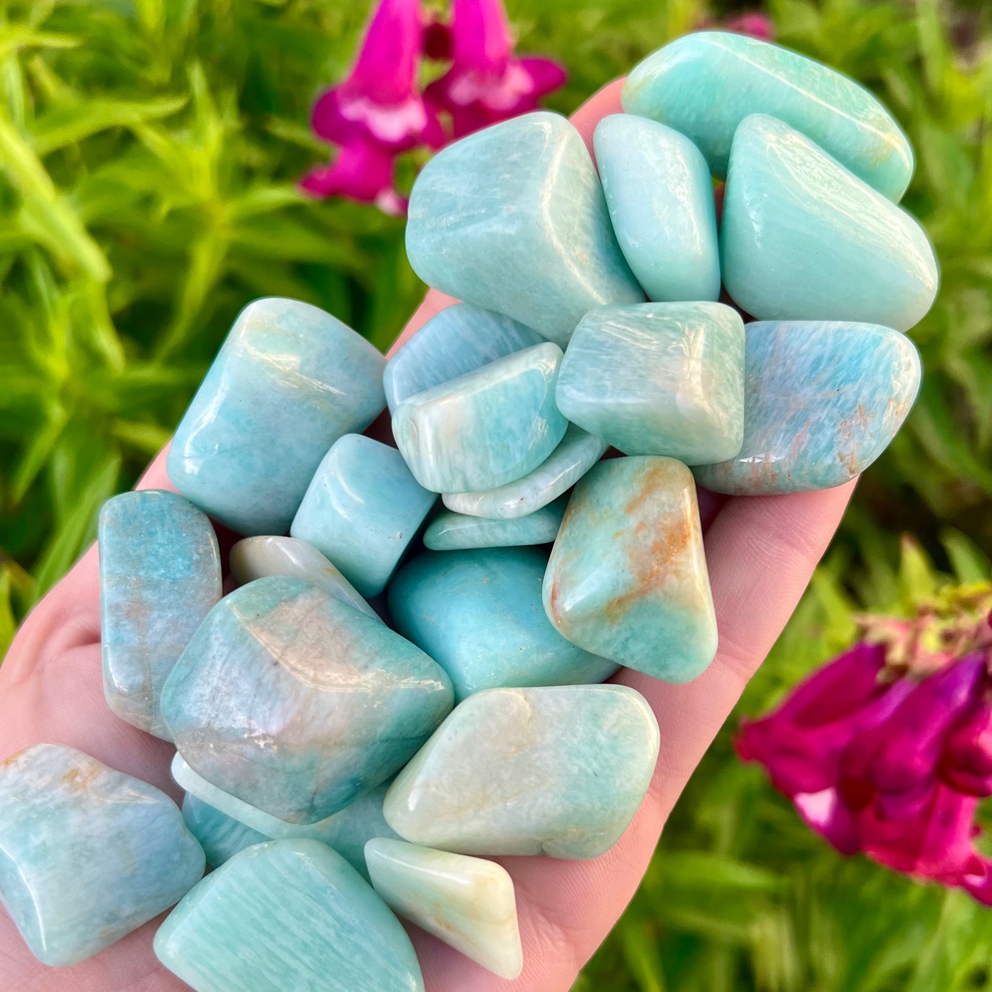 Amazonite Tumblestones