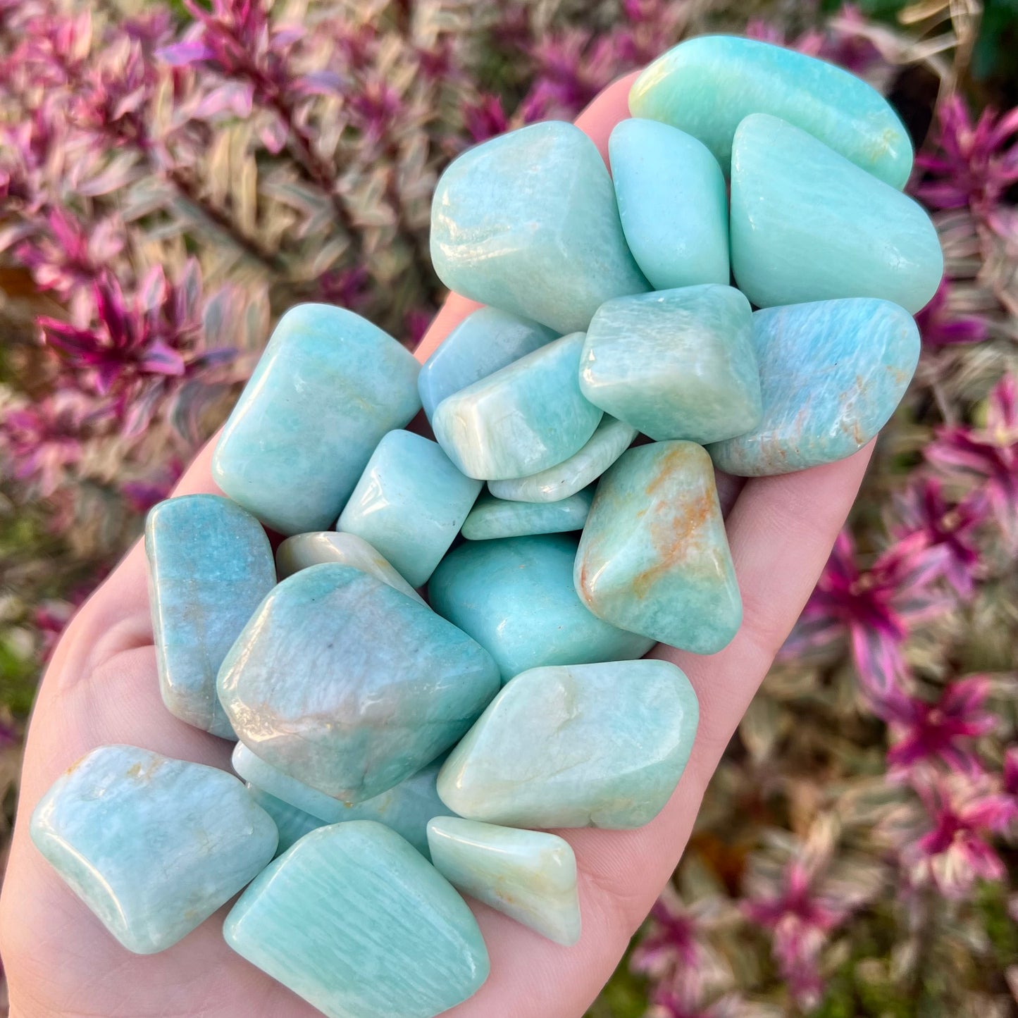 Amazonite Tumblestones