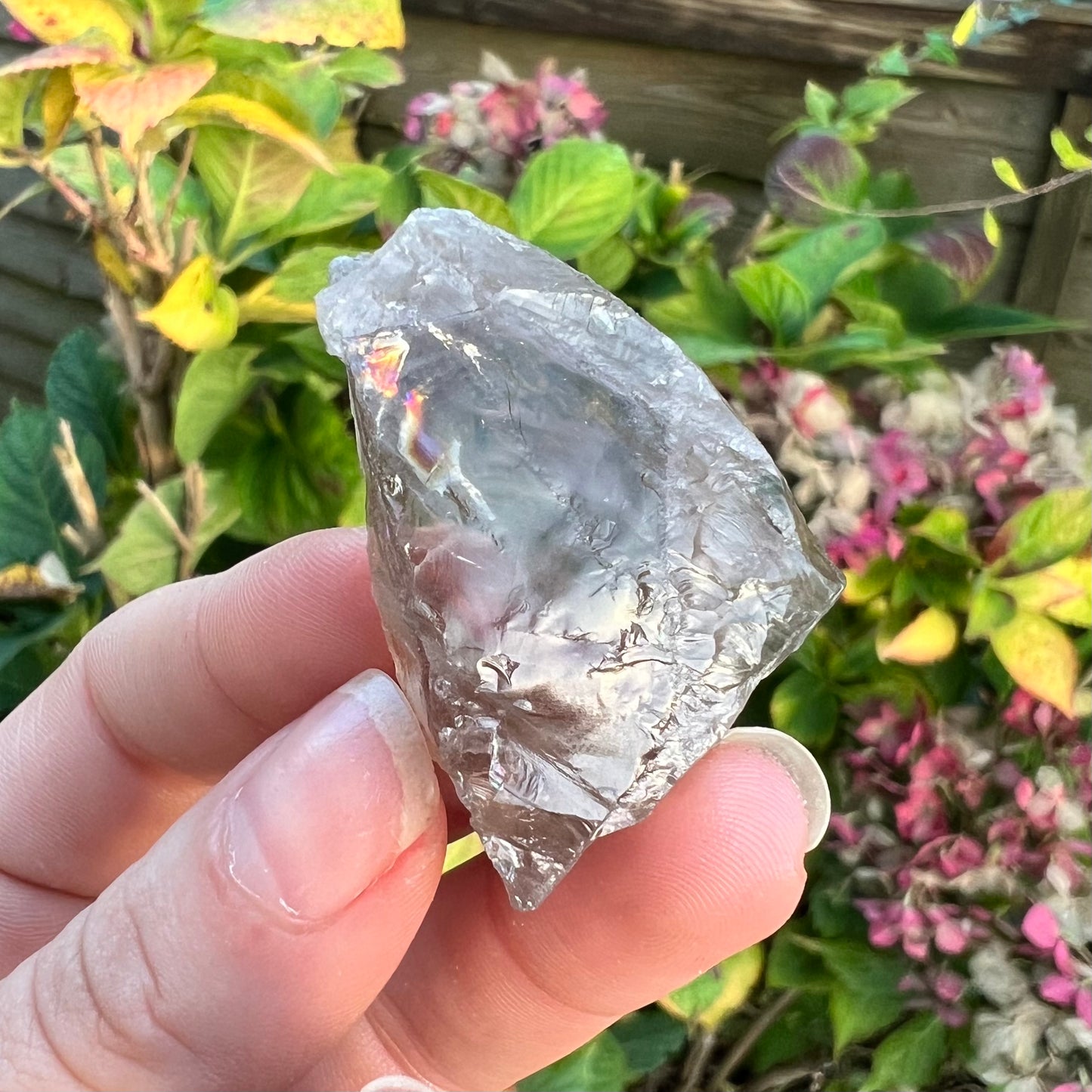 Smokey Quartz Rough Raw Crystal