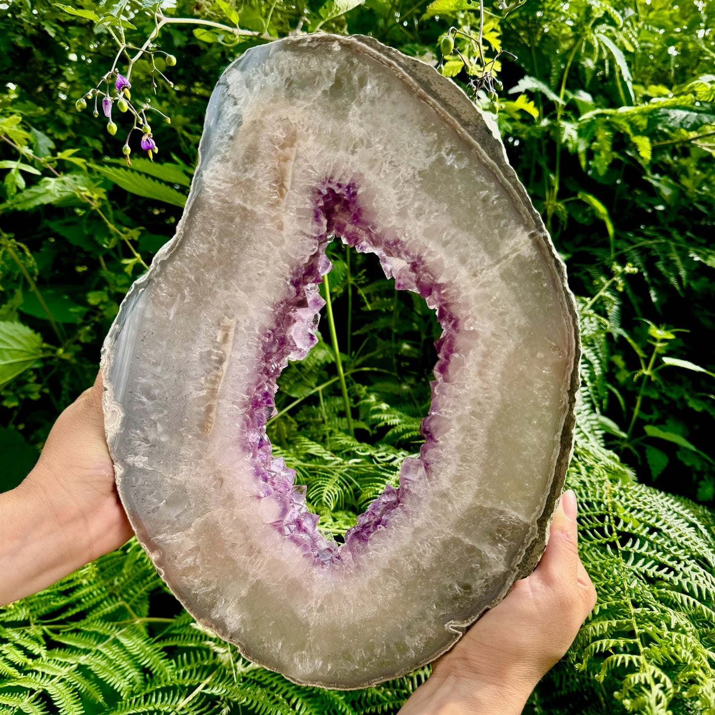 AAA+ Grade Large Polished Amethyst Slice on Steel Stand