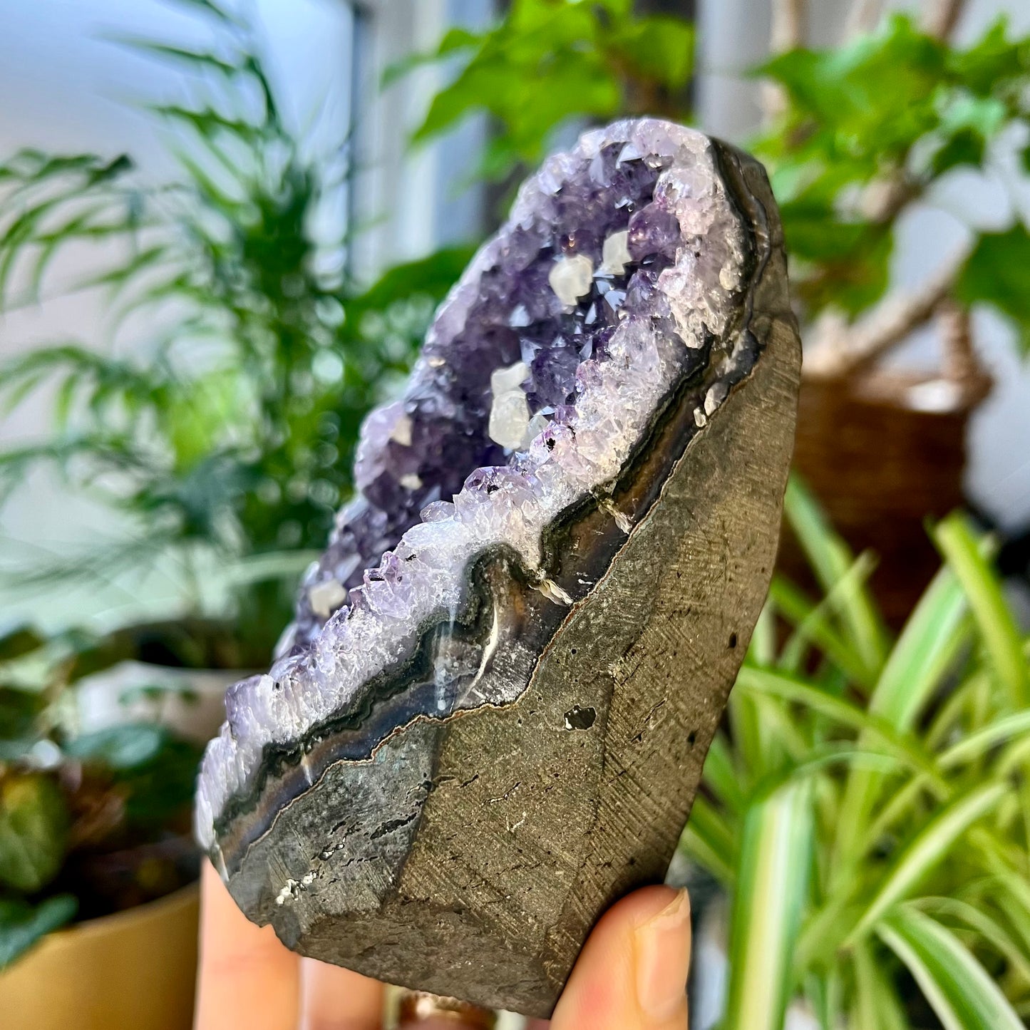 Uruguayan Amethyst Cluster with Calcite Cubes 660g