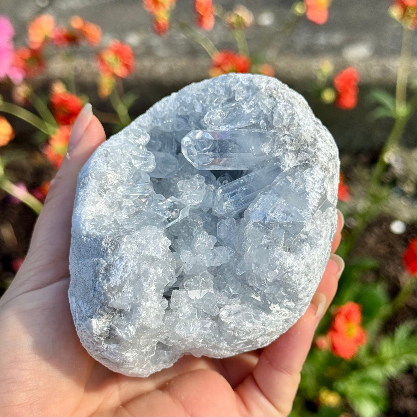 Natural Celestite High Grade Clear Crystal Geode Rare Specimen