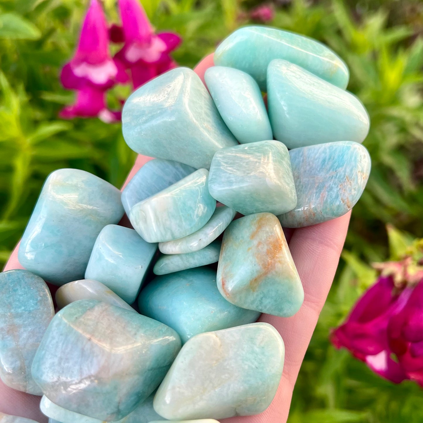 Amazonite Tumblestones