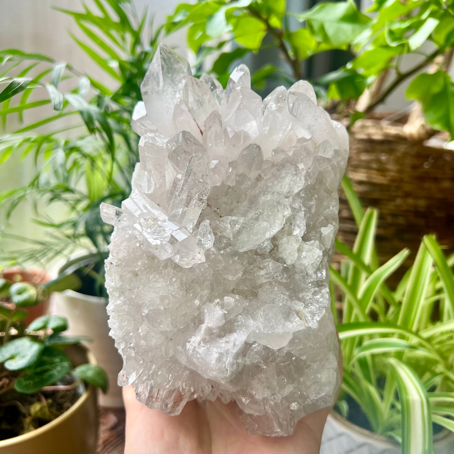 Clear Quartz Brazilian Cluster 1.4kg