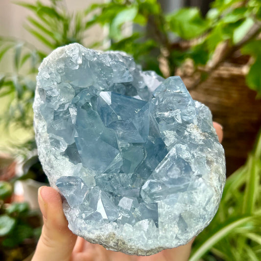 Celestite High Grade Cluster 818g