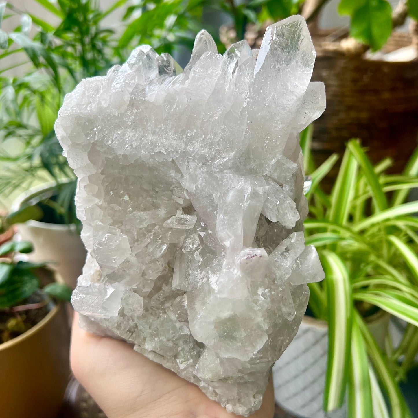 Clear Quartz Brazilian Cluster 1.4kg