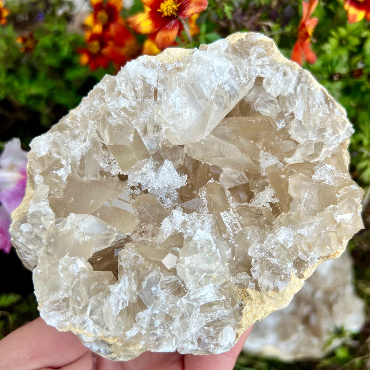 High Grade Quartz Geode Pair 999g