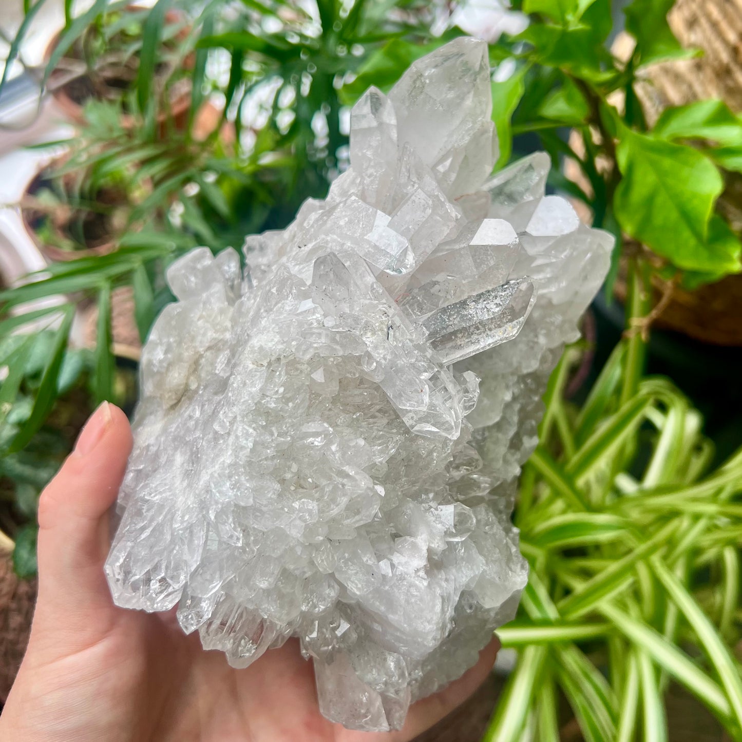 Clear Quartz Brazilian Cluster 1.4kg