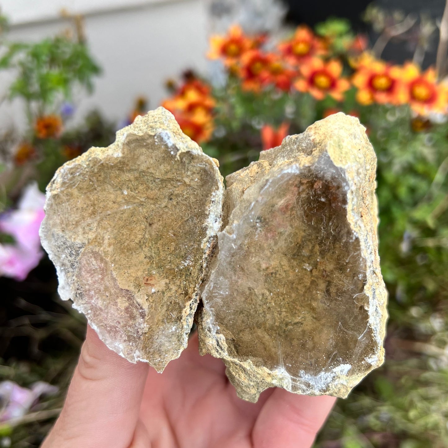 Rare Raw Desert Calcite Geode 141g