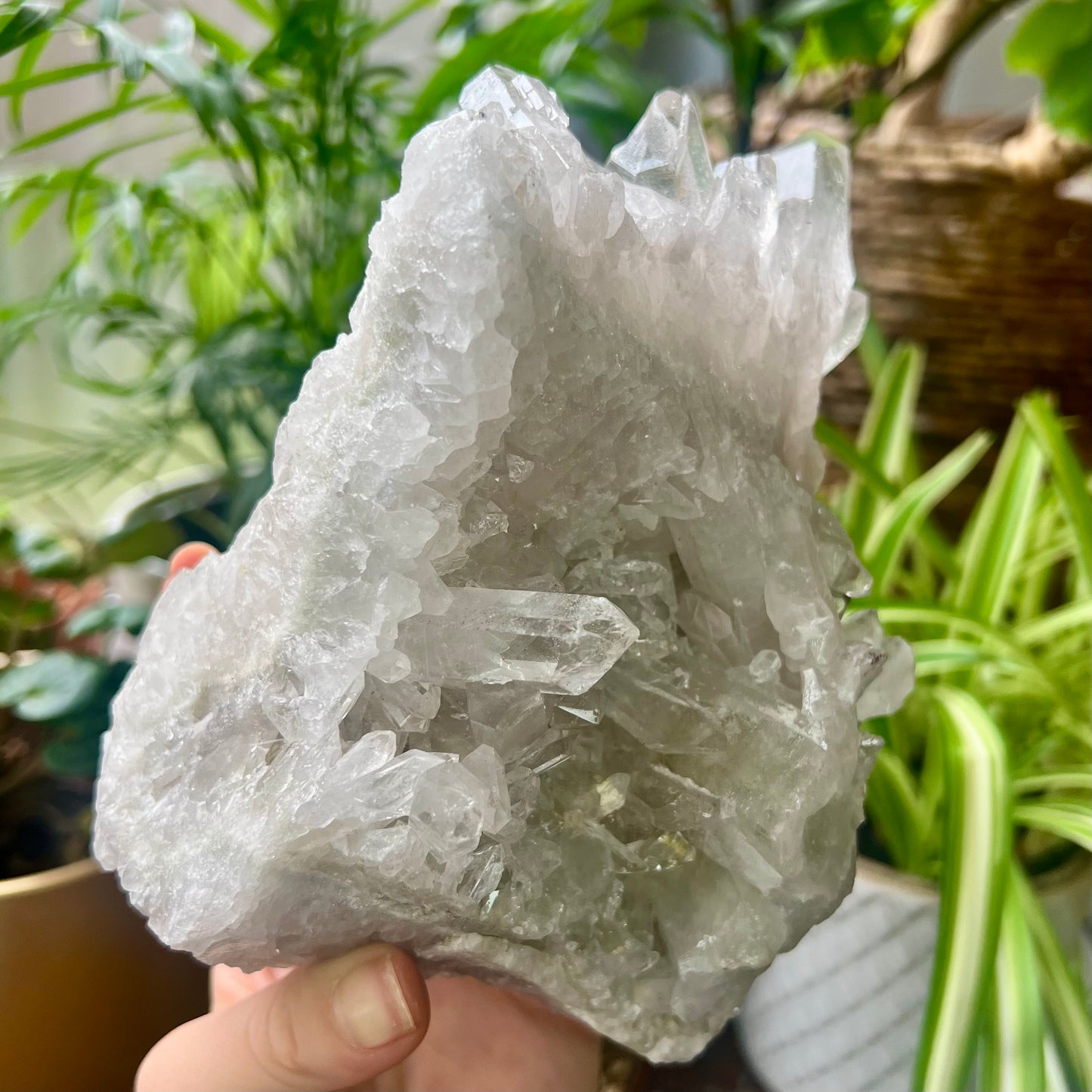 Clear Quartz Brazilian Cluster 1.4kg