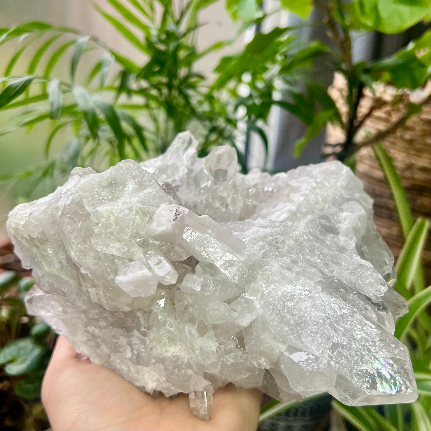 Clear Quartz Brazilian Cluster 1.4kg