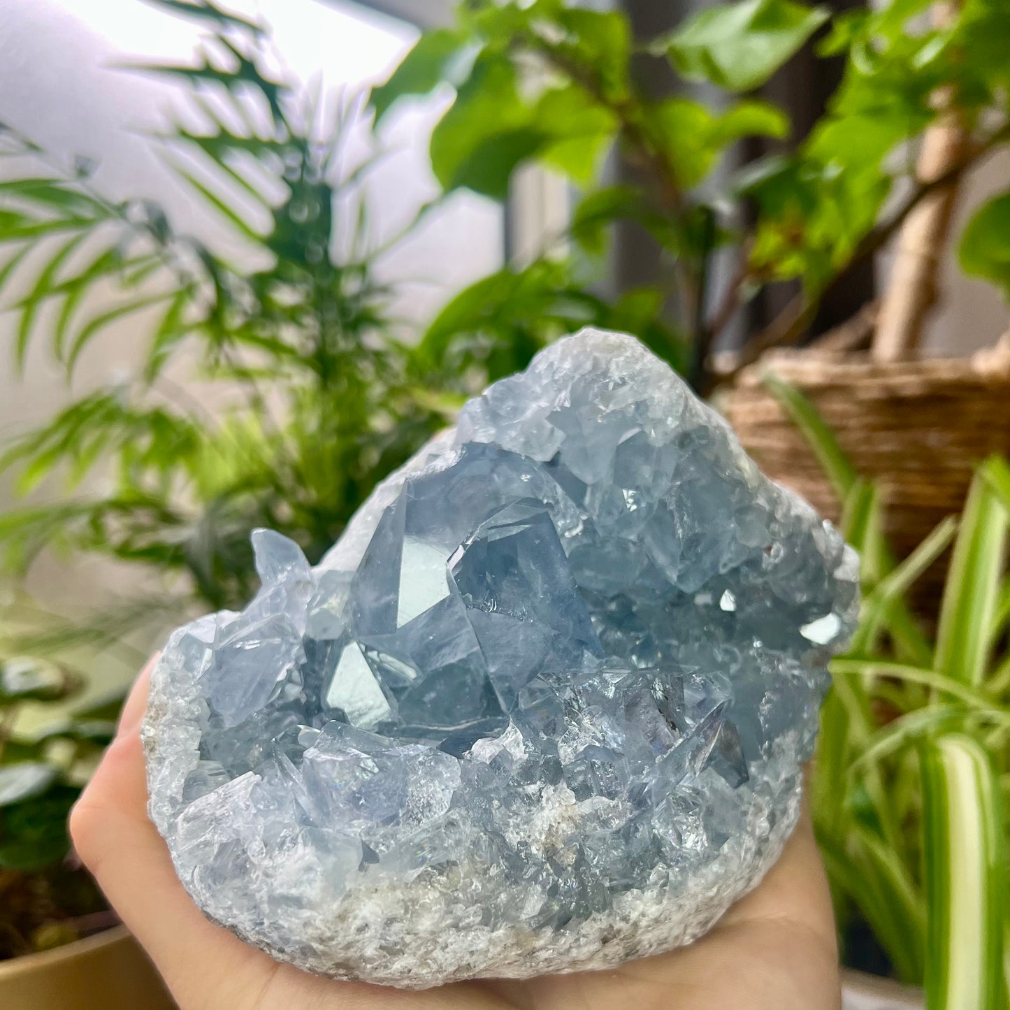 Celestite High Grade Cluster 818g