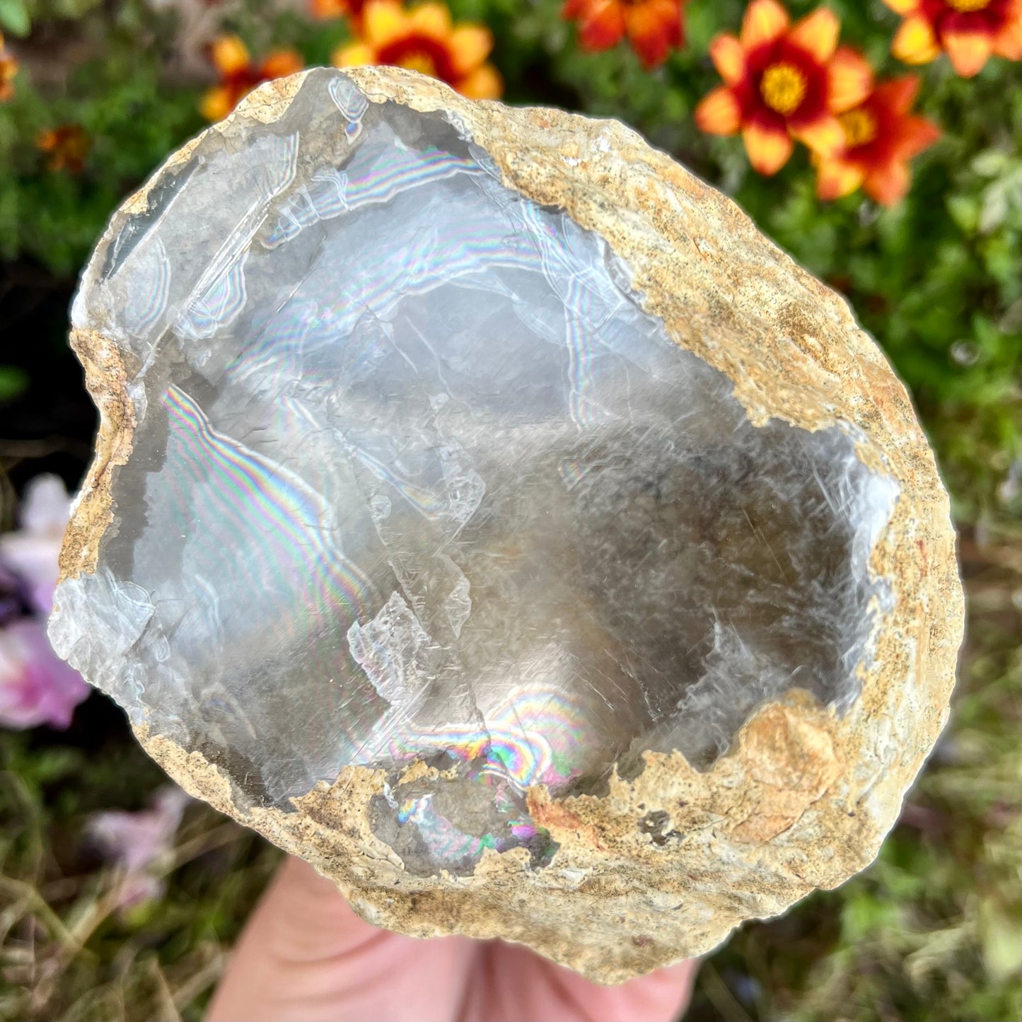 Rare Raw Desert Calcite Geode Slice 577g