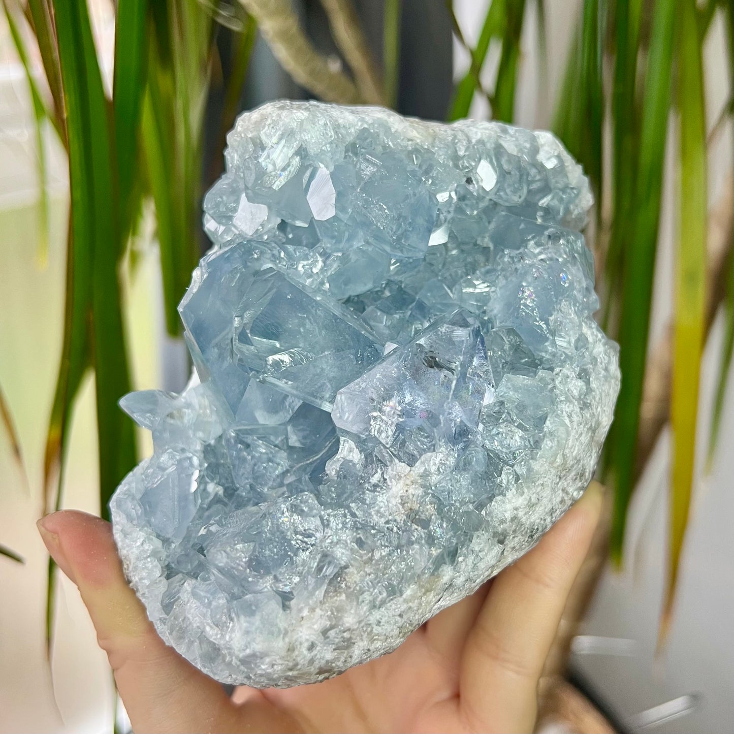 Celestite High Grade Cluster 818g