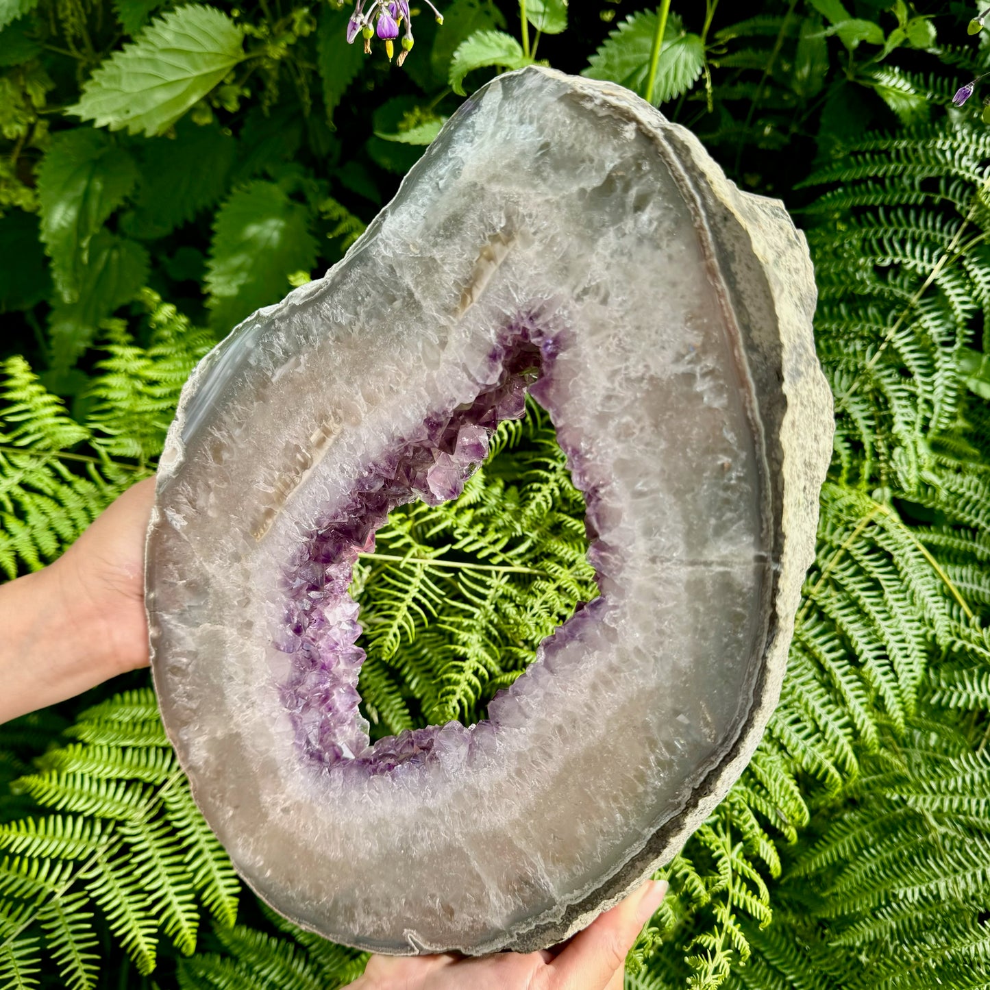 AAA+ Grade Large Polished Amethyst Slice on Steel Stand